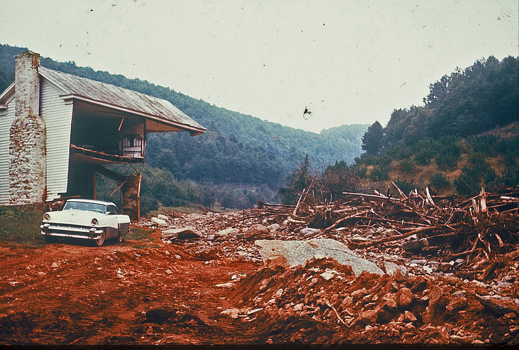 Camille - Davis Creek 2.jpg